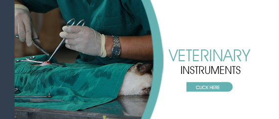 Veterinary Instruments